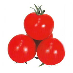 g}g  ybhI[z 1,000 i   ؎q ؎ j