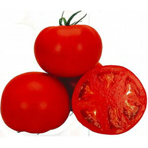 g}g  yӂz 1,000 i   ؎q ؎ j