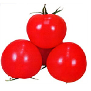 g}g  yz 1,000 i   ؎q ؎ j