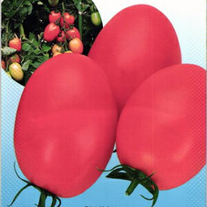 g}g  ypX^z 1,000 i   ؎q ؎ j