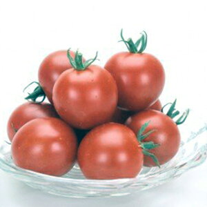 g}g  yXB[gr[z 1,000 i   ؎q ؎ j