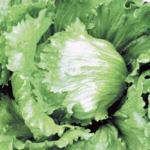 ^X  y ^XeV z q R[g5痱 i   ؎q ؎ j