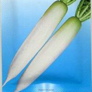 卪  y t z q R[g5痱 i   ؎q ؎ j