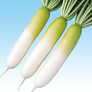 卪  y Â܂2 z q 2dl i   ؎q ؎ j