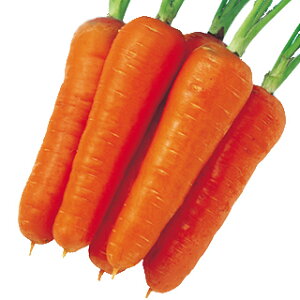 ɂ񂶂  y g z q ܁i20mlj i   ؎q ؎ j