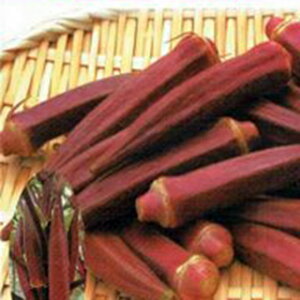 IN  ybhTz 1L i   ؎q ؎ j