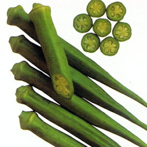 IN  yINz 1L i   ؎q ؎ j