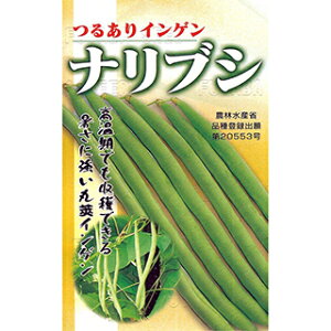 񂰂  yiuVz 1L i   ؎q ؎ j