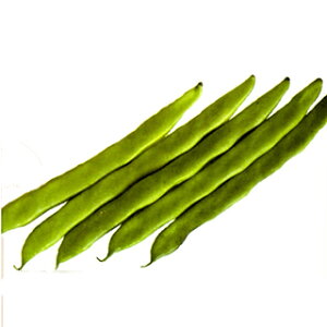 񂰂  y꓇CQz 1L i   ؎q ؎ j