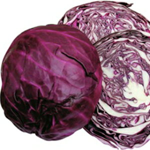 Lxc  y ʍg z q R[g5痱 i   ؎q ؎ j