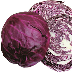 Lxc  y ʍg z q 20ml i   ؎q ؎ j