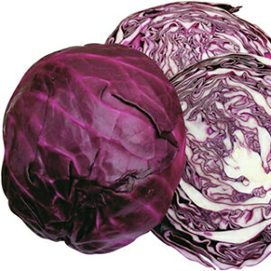 Lxc  y ʍg z q ܁i1D2mlj i   ؎q ؎ j