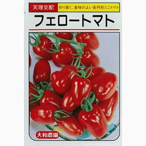 ~jg}g  ytF[z 30 i   ؎q ؎ j