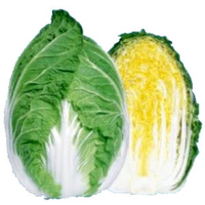   y 65 z q 10ml i   ؎q ؎ j