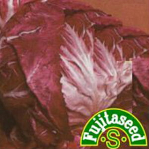 Ԋۃ`R[  y F1j[t@Cn[g z  ( Ԋۃ`R[̎ )