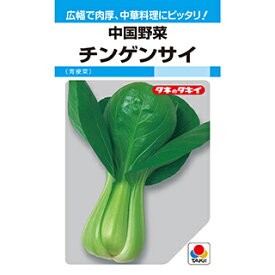 中国野菜 種 【 チンゲンサイ 】 小袋(MF 9ml) ( 中国野菜の種 )