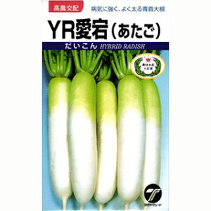 _CR  y YRij z  ( _CR̎ )
