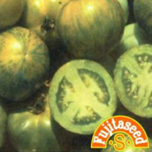 g}g  y O[g}g z  ( g}g̎ )