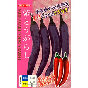 s[}  y Ƃ炵 z 20ml ( s[}̎ )