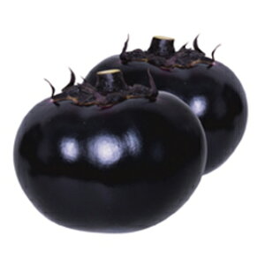 iX  y ܂񂶂イ z 2000 ( iX̎ )