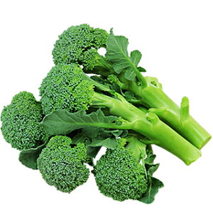 ubR[  y O[R[ z (0D5ml) ( ubR[̎ )