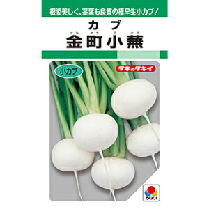 Ju  y  z (GF 9ml) ( Ju̎ )