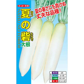 ダイコン 種 【 夏の砦 】 小袋（3ml） ( ダイコンの種 )