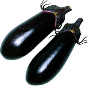 iX  y Y z 2000 ( iX̎ )