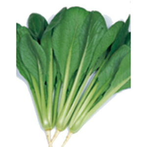   y Ȃނ z 2dl ( ؂̎ )