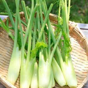 n[u  y XeBbNtBmbLI XeBbLI z 15000 ( n[u̎ )