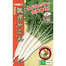 ダイコン 種 【 祝だいこん 】 小袋 ( ダイコンの種 )