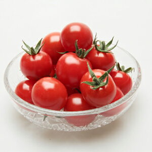 ~jg}g  y r[bV z 100 ( ~jg}g̎ )