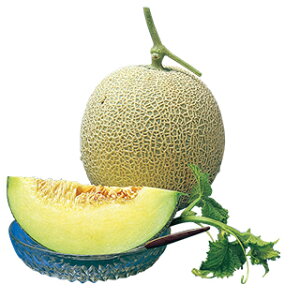   y }JX z ܁i7j ( ̎ )