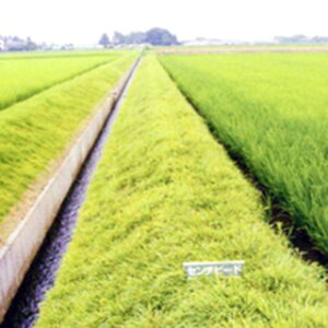 Δ  y Z`s[hOX z 1kg ( Δ̎ )