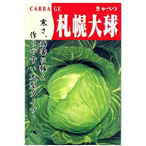 Lxc  y Dy勅i4jiۂ낽イj z  ( Lxc̎ )
