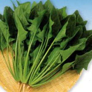 zE\E  y ǂ낤 z  ( zE\E̎ )