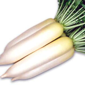 _CR  y YRÂ z 20ml ( _CR̎ )