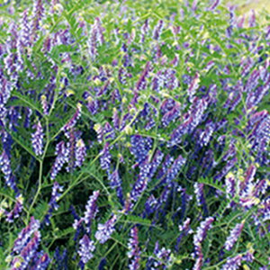 Δ  y EC^[xb` z 1kg ( Δ̎ )