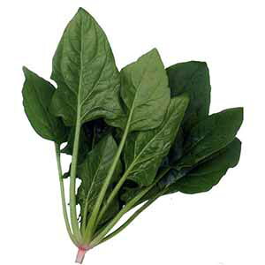 zE\E  y S[h z M3 ( zE\E̎ )