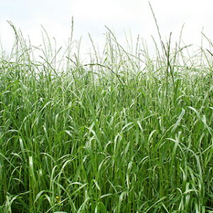 Δ  y COX }XC^ABirPj z 1kg ( Δ̎ )