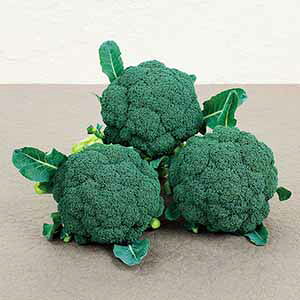 ubR[  y ΂ z ybg5痱 ( ubR[̎ )