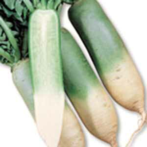 _CR  y ]s z i925|271j ( _CR̎ )