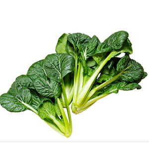 R}ci  y ߂ z  ( R}ci̎ )