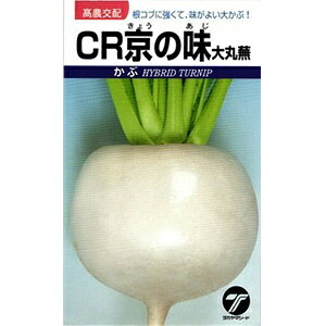 Ju  y CR̖ z  ( Ju̎ )