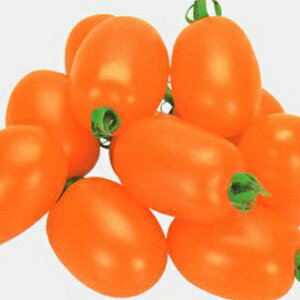 ~jg}g  yLhCgz 100 i   ؎q ؎ j