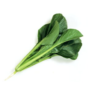   y悩Gz ܁i20mlj i   ؎q ؎ j