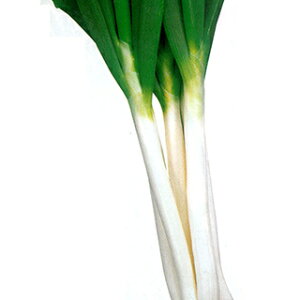 lM  y ΑqG[X z q 2dl i   ؎q ؎ j