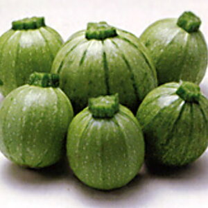 YbL[j  y O[GbO z q ܁i100j i   ؎q ؎ j