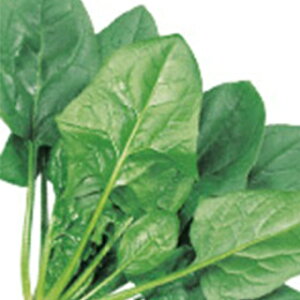 zE\E  y AgX z q ܁i1dlj i   ؎q ؎ j