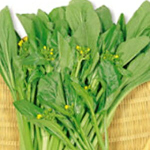 ݍ  y I[^|G z q 1dl i   ؎q ؎ j